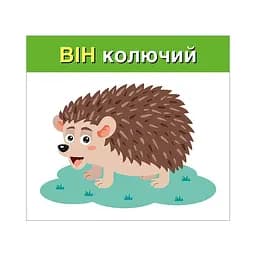 Навчальні картки "Вивчаємо займенники ВІН, ВОНА, ВОНО, ВОНИ" 10109168, 15 карток - мініатюра 3