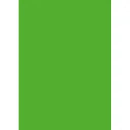 Папір для дизайну Folia Tintedpaper А4 (21x29.7см) №55 темно-салатовий 130г/м2 без текстури