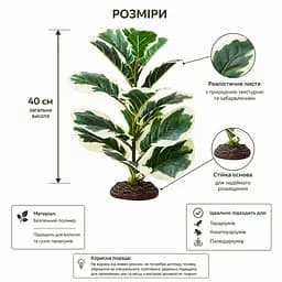 Штучна рослина Hobby Ficus Elastica 1 40 см (37705) для тераріуму, акватераріуму та палюдаріуму
