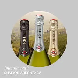 Вино ігристе Martini Asti DOCG, 7,5%, 0,75 л (14013) - мініатюра 5