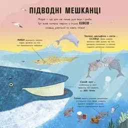 Супернаука для дошкільнят. Акули люблять науку - мініатюра 4