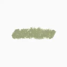 Велика олійна пастель Sennelier, 36 мл, Оливково-зелений (Olive Green) - мініатюра 2