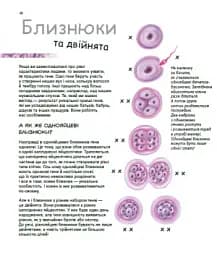 X та Y, дівчинка або хлопчик? - мініатюра 8