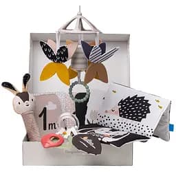 Подарочный набор игрушек для новорожденного Taf Toys Черно-белая гармония (13475)