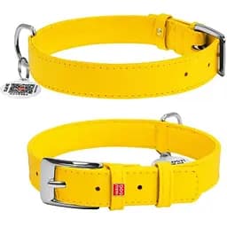 Нашийник для собак Waudog Glamour шкіряний з QR паспортом, без прикрас, M, Ш 25 мм, Дов 38-49 см