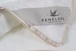 Ковдра Penelope - Imperial Luxe 195x215 євро - мініатюра 4