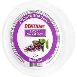 Зубний порошок Dentium Захист від карієсу 70 г
