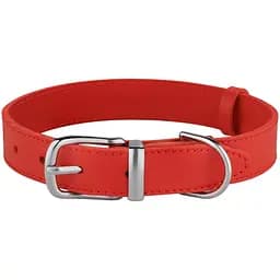 Ошейник для собак BronzeDog Barksi Classic кожаный XS 23-30х1.2 см красный