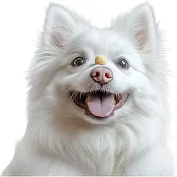 Ласощі для собак Waudog Treats Хрусткі сирні кульки 30 г - мініатюра 4