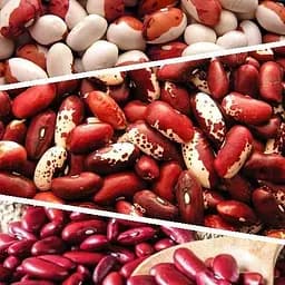 Квасоля на сухе зерно "Суміш кращих популярних сортів" ТМ "Весна"  15г (45536)