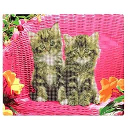 Алмазна мозаїка Пухнаті близнюки 178195 картон, неповна викладка 21х25 см