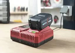 Набір акумулятора та зарядного пристрою 3111 AA 20В Skil hoz0014257 - мініатюра 3