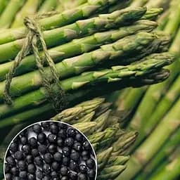 Спаржа "Делікатесна" (зіпер) ТМ "Весна" 0,5г (183408)