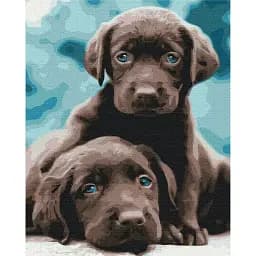 Картина по номерам Brushme Голубоглазые щенки 40x50 см