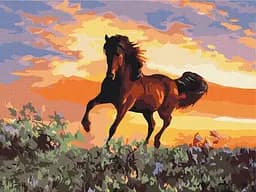 Картина за номерами на підрамнику Brushme Кінь