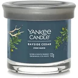 Свічка Yankee Candle Small Bayside Cedar Прибережний кедр 122 г (1744755E) - мініатюра 2