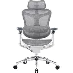 Офисное кресло Sihoo Doro C300 Pro Mesh White (DORO-C300-PRO-M102)