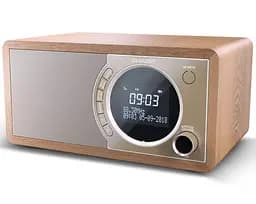 Портативна акустика Sharp DR-450(BR) (DR-450(BR))