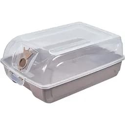 Маленький контейнер для взуття Stars Plast какао (94333/как)