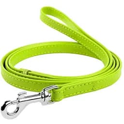 Поводок для собак Waudog Glamour кожаный, салатовый