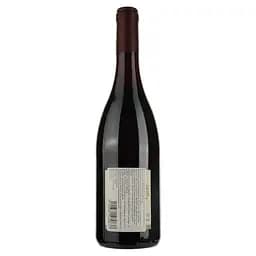 Вино Pierre Andre Cru du Beaujolais Moulin-A-Vent червоне сухе 0.75 л - мініатюра 2