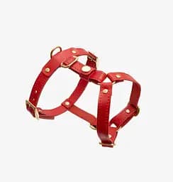 Шкіряна анатомічна шлея для собак "Classy" XS червона (обхват грудини 28-36 см) - мініатюра 4