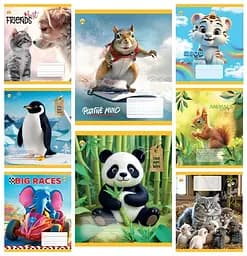 Тетради ученические 12 листов косая линия Твердая Микс 2, 25 шт. в упаковке