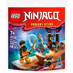 Конструктор LEGO Ninjago Арин против Дракона: Битва 48 деталей (30700)
