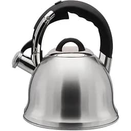 Чайник Zauberg 3.5 л серебристый (000030810)