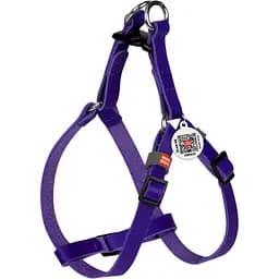 Шлея для собак мини-пород и котов Waudog Classic, кожаная, с QR паспортом, пластиковый фастекс, XS, 28-40х1 см, фиолетовая