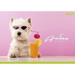 Альбом для малювання Школярик PB-GB-020-465-3 склейка 20 аркушів