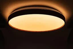 Стельовий світильник FOREST зоряне небо 80W 480*65мм з д/к - мініатюра 3