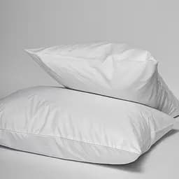 Набір наволочок Moon&Star Microfiber Snowy Microfiber 70х70 см 2 шт