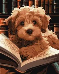 Набір для розпису по номерах Пухнастий читач, 40x50 см, КНО6587