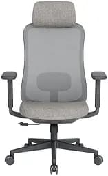 Офісне крісло OfficePro Wave OC599-B-DG-DG (OC599-B-DG-DG)