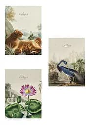 Комплект 3 шт общих тетрадей. Тетрадь Школярик А4 48 л. в линию 5079 4823088220681