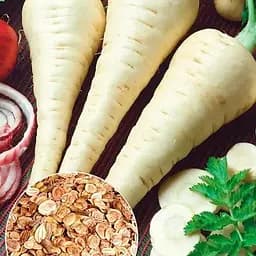 Пастернак (Зипер) ТМ "Весна" 3г (11925)