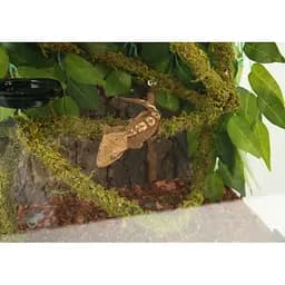 Ліана гнучка з натуральним мохом для тераріуму Repti-Zoo Artificial Moss Vine 1,5см x 2м (RV0215) - мініатюра 15