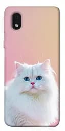 Чохол Demsky Pastel kitty для Samsung Galaxy M01 Core / A01 Core