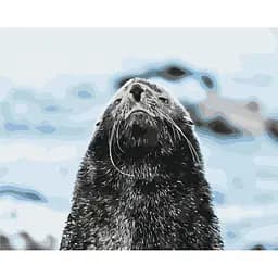 Картина за номерами на підрамнику Brushme Морський котик Сергій Глотов