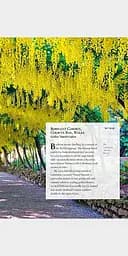 A Garden A Day - мініатюра 5