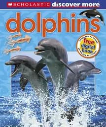 Discover More. Dolphins