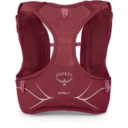 Рюкзак Osprey Dyna LT