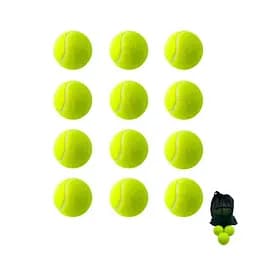 Набір м'ячів для великого тенісу SWDN Tennis Ball NE-TT-12 в чохлі 12 штук