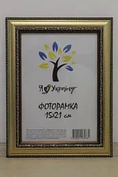 Фоторамка 15х21, золота з обрамленням, 3017-х811, Скло + Картон
