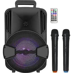 Портативна колонка BiG BLUESKY 100W два радіомікрофони караоке