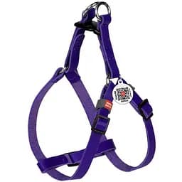 Шлея котів та дрібних собак Waudog Classic шкіряна з QR паспортом, пластиковий фастекс, XS фіолетовий