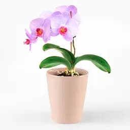 Горщик для квітів МВМ My Home, 16 см, рожевий (DH-FLOWERS-29 PINK) - мініатюра 3