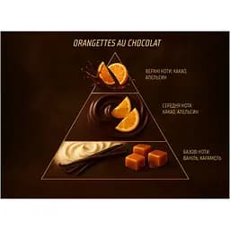 Ароматизатор для автомобіля VITOL Home Sticks Orangettes au Chocolat 130 мл (VHS05) - мініатюра 8