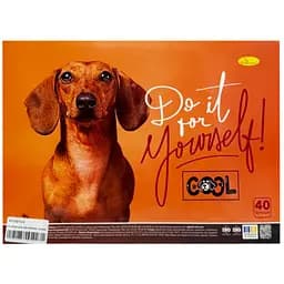 Альбом для рисования Апельсин АП-0310-2, 40 листов, пружина сбоку